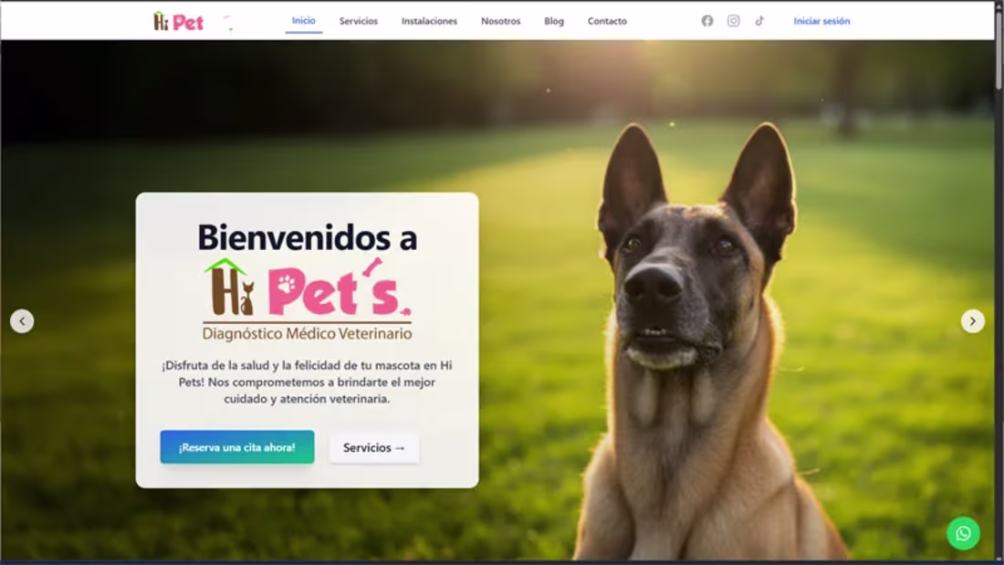 Cover image for HiPets Veterinary