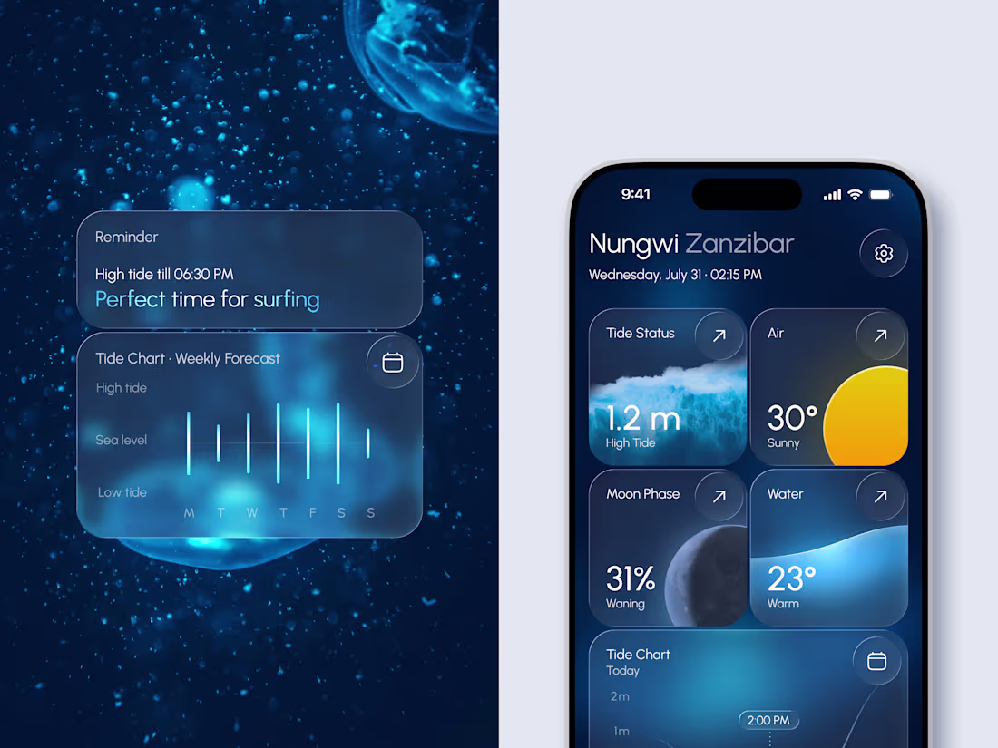 Cover image for Tide & Moon Tracker Dashboard