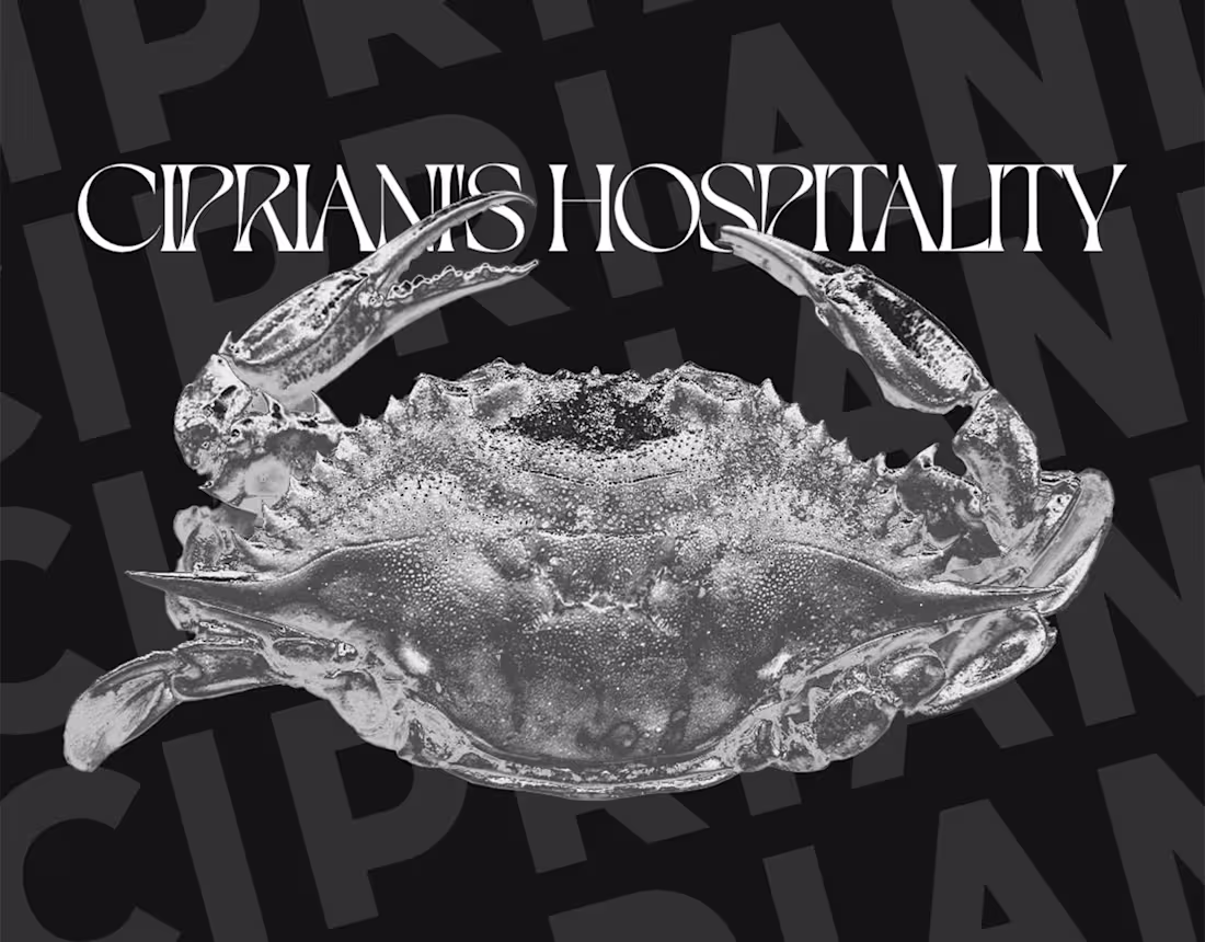 Cover image for Chipriani (redesign concept)