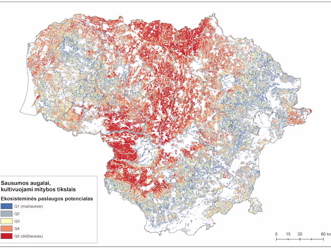 Cover image for Ecosystem services mapping