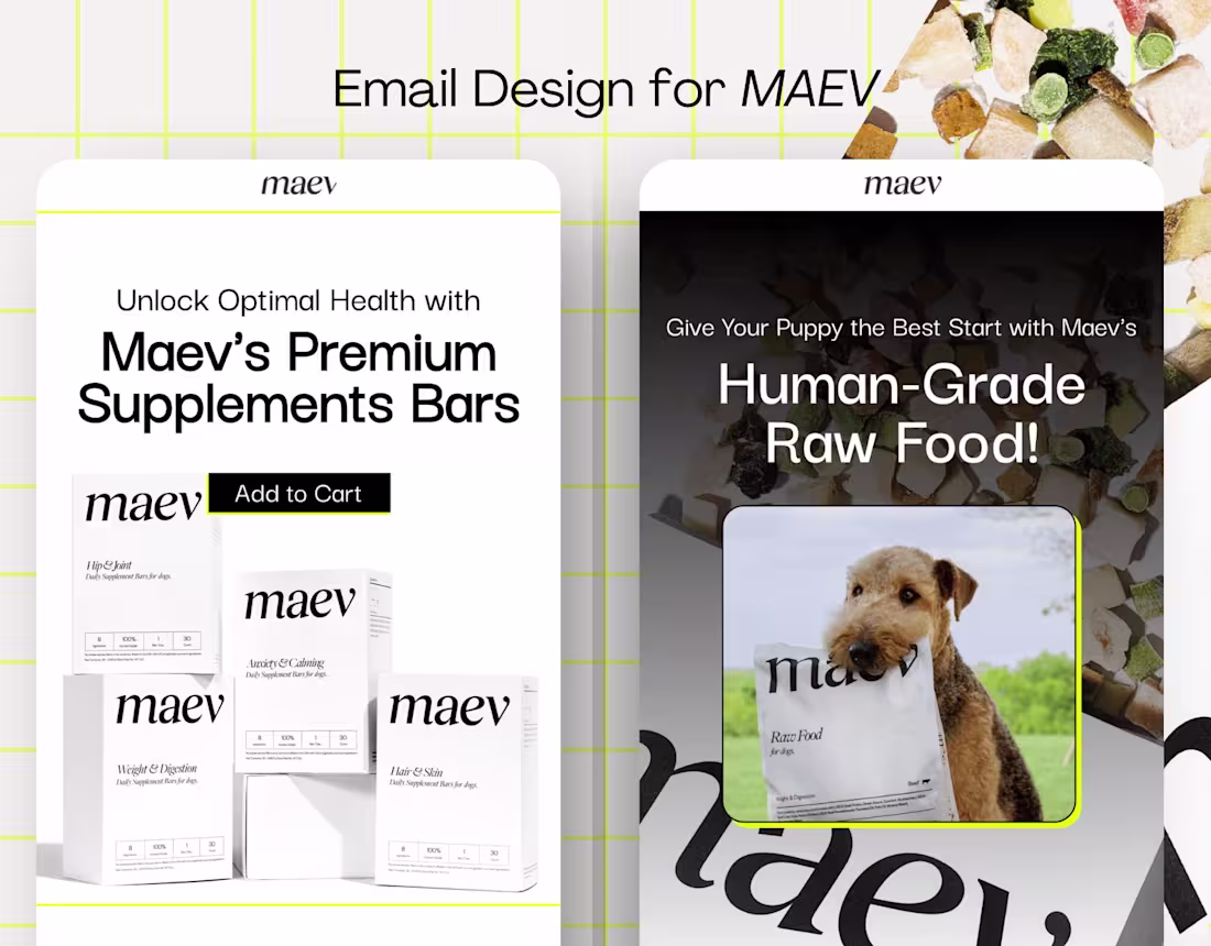 Cover image for Email Template Design for Maev.

Email