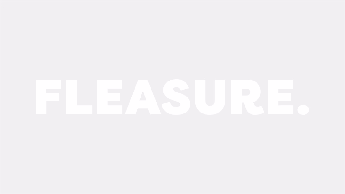Cover image for FLEASURE Brand Identity
