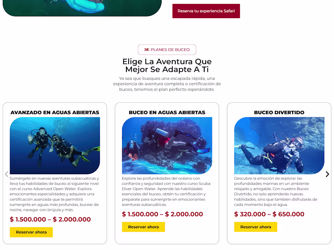 Cover image for Expert Freelance E-commerce Website Designer & SEO Specialist