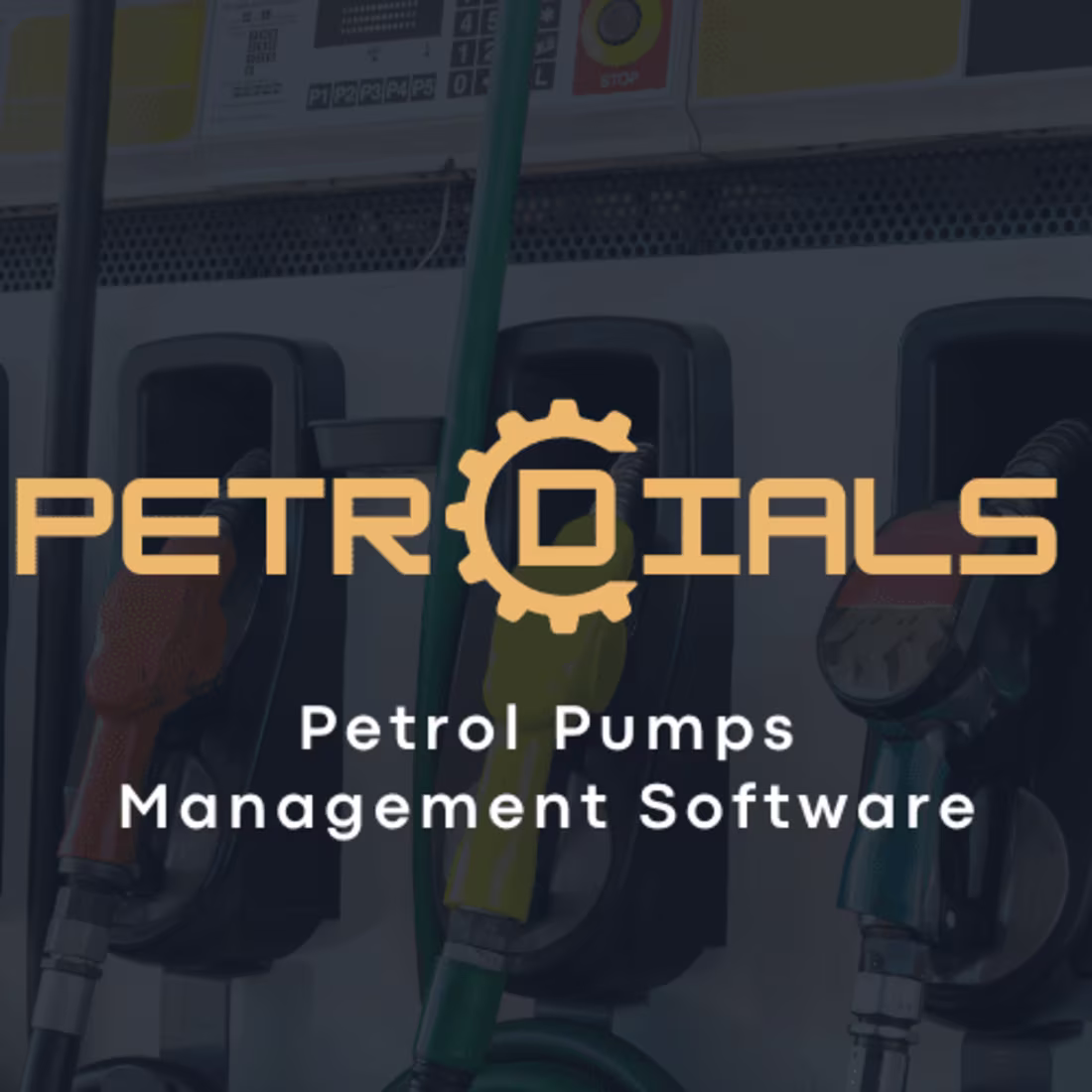 Cover image for Petrol Pump Management