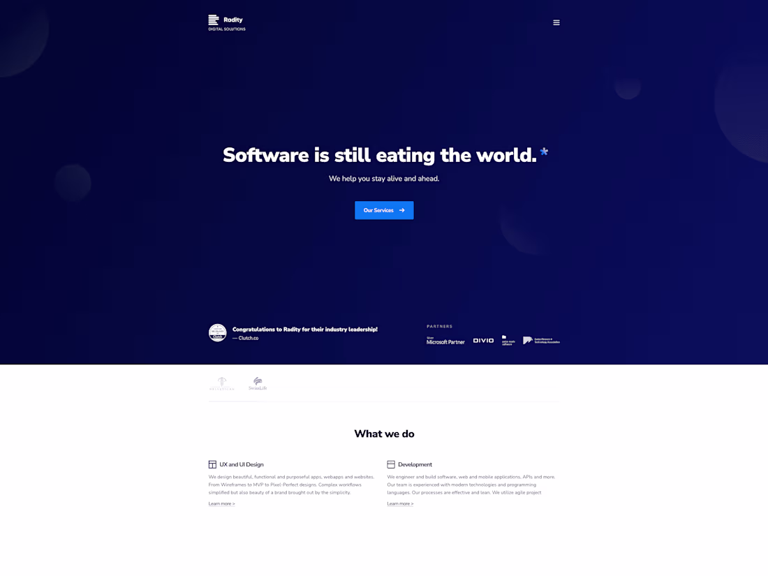 Cover image for Radity