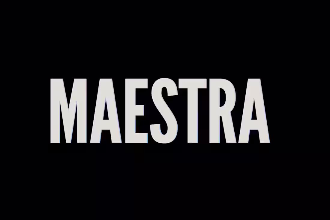 Cover image for Maestra