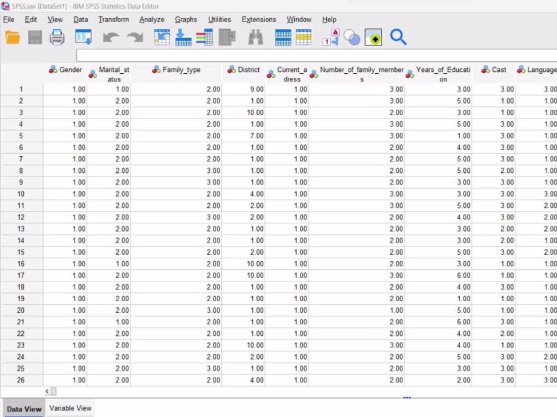 Cover image for SPSS Data Analysis Support Project