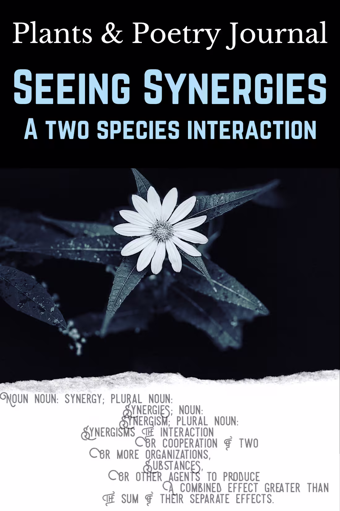 Cover image for Seeing Synergies, A Two Species Interaction