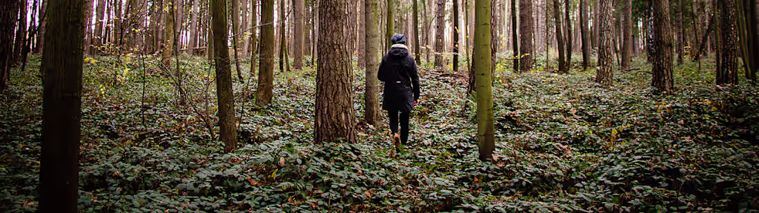 Cover image for Biodiversity and Conservation Management Master’s Degree Takes …
