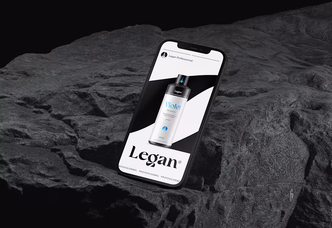 Cover image for Legan Professionnal