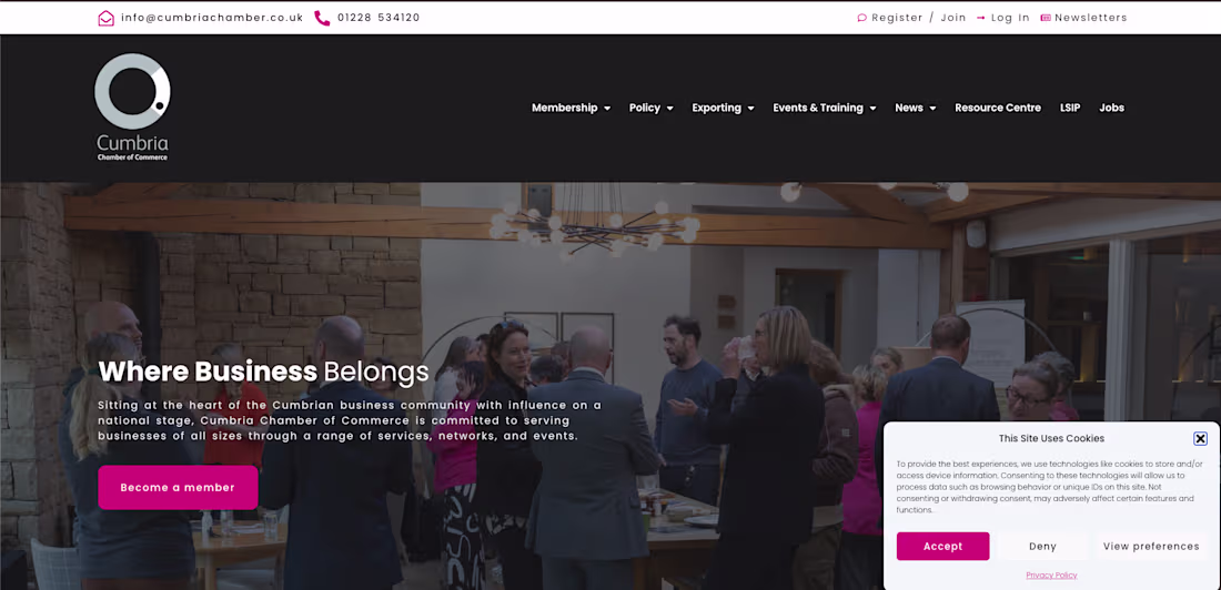 Cover image for WordPress website build with Elementor