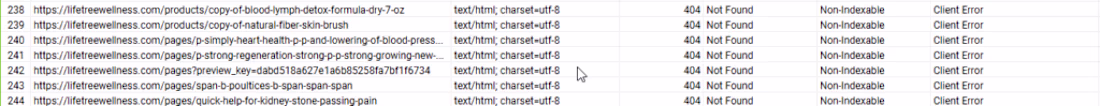 Cover image for Case Study: SEO Optimizations That Placed Our E-Commerce Client…