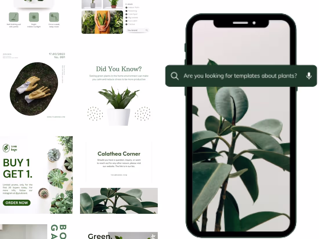 Cover image for Social Media Content