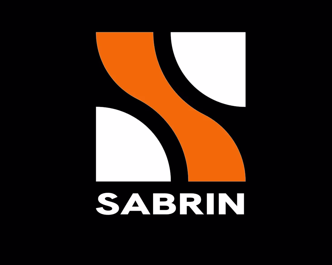 Cover image for A bold and minimalist logo design for SABRIN, featuring a sl...