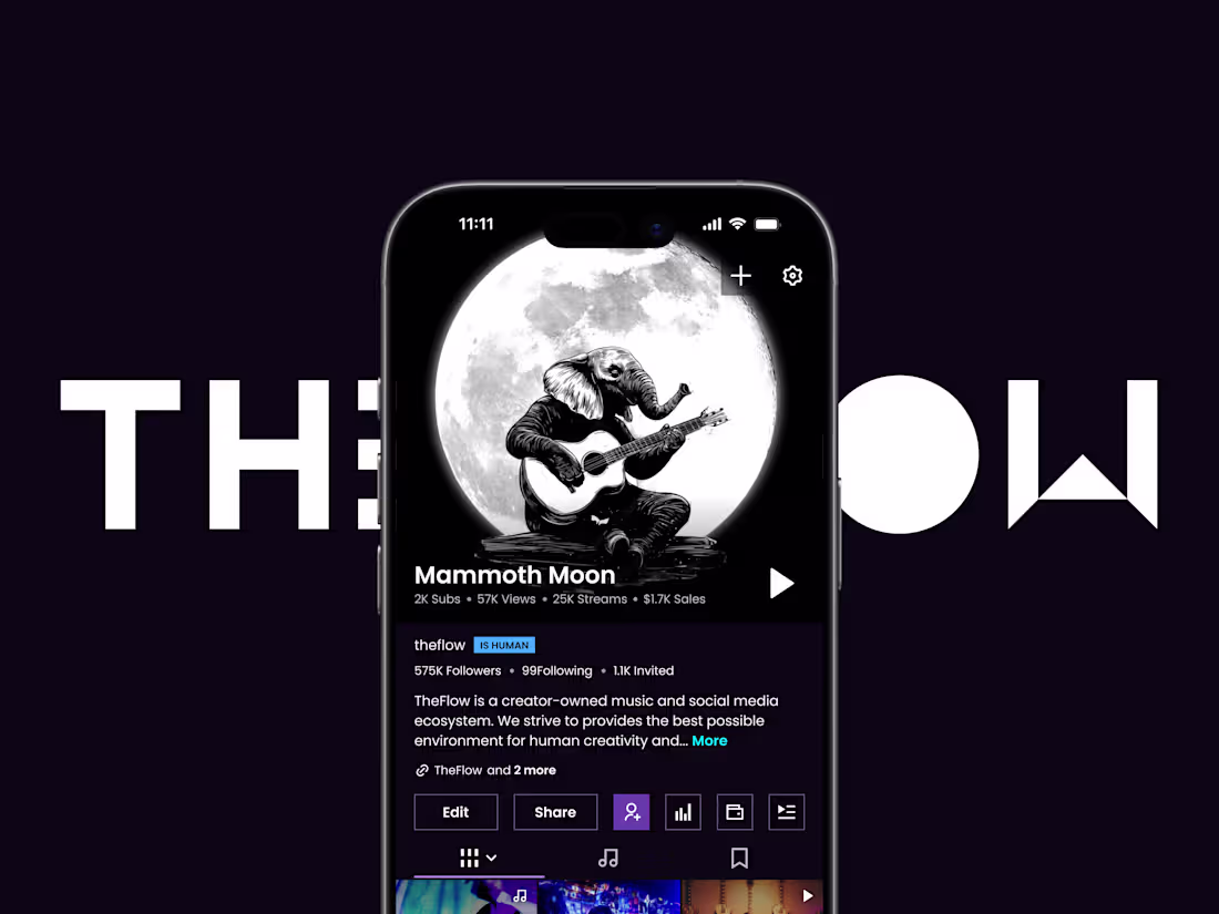 Cover image for TheFlow UX/UI Design