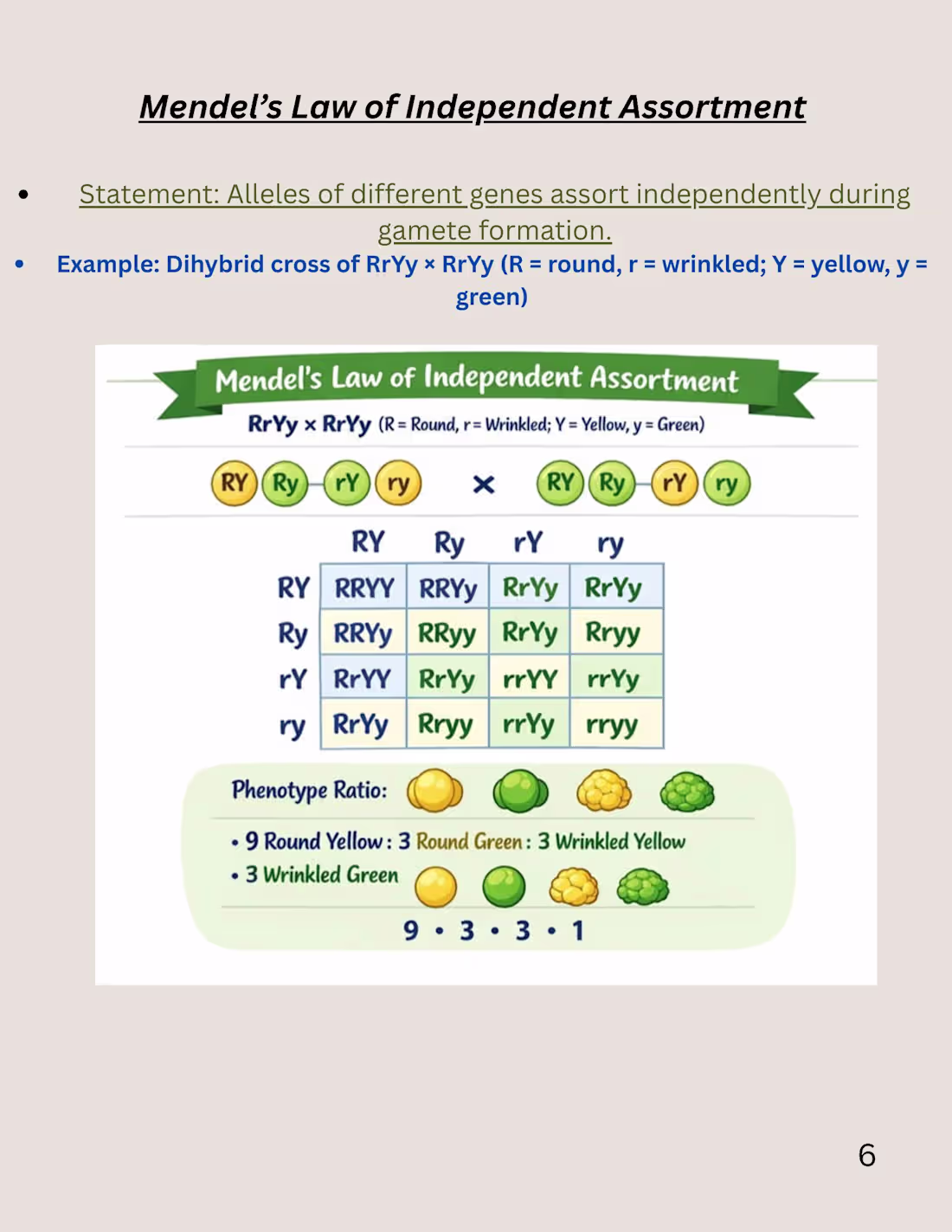 Cover image for Colorful and easy to revise