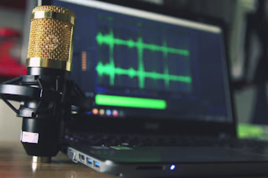 Cover image for Voice Over Service