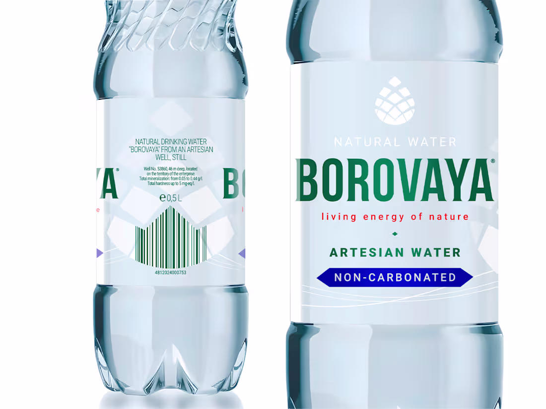 Cover image for Borovaya