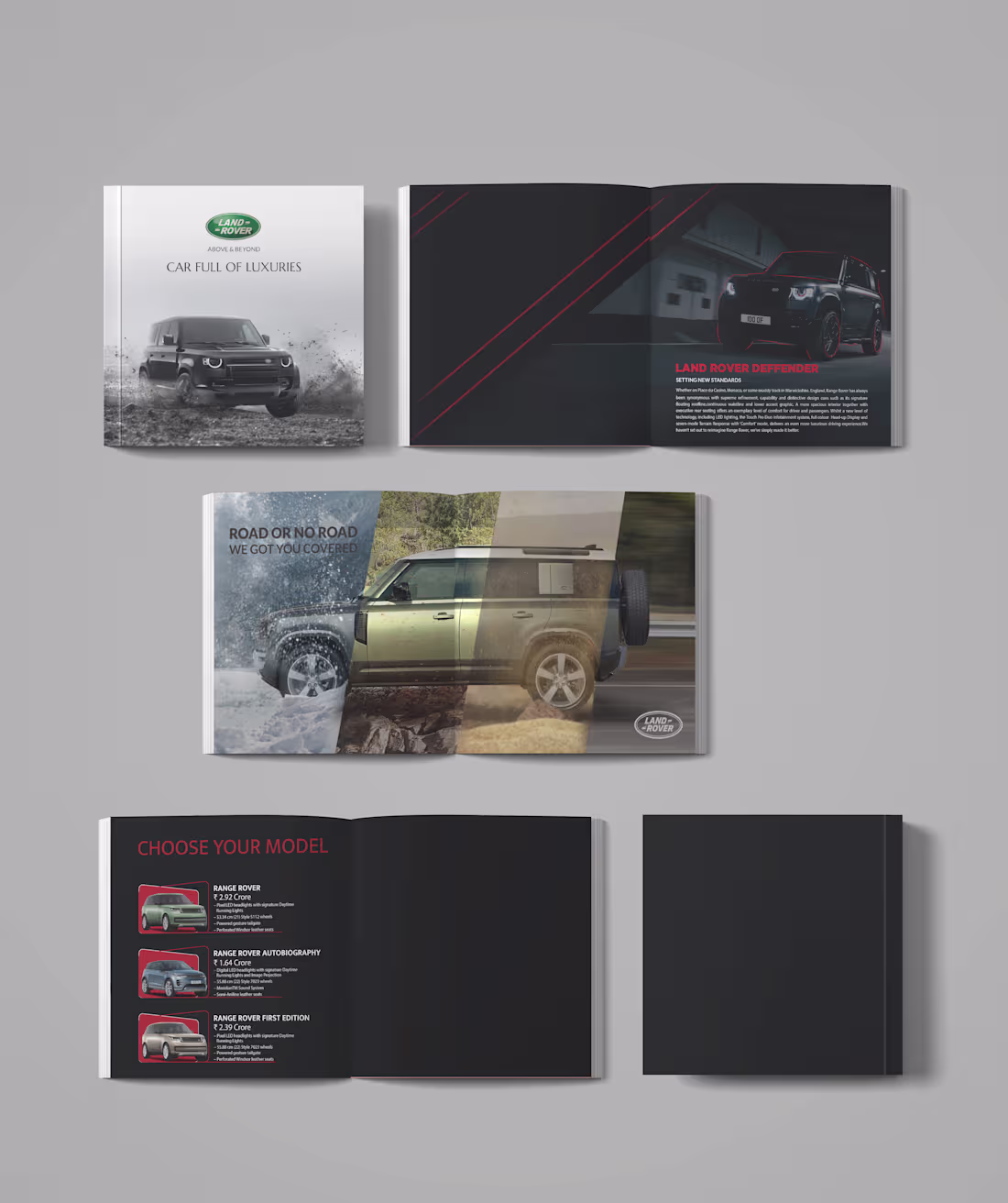 Cover image for This brochure design for the