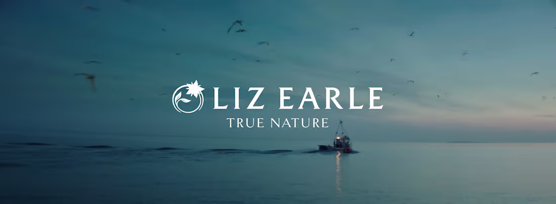 Cover image for Let It Shine — Liz Earle