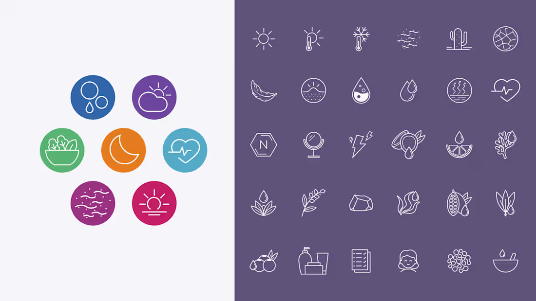 Cover image for Icons for Skinsei