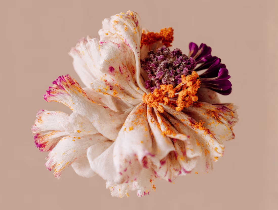 Cover image for Flowerly experiments inside Krea. https://www.instagram.com/...