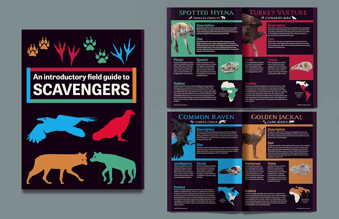 Cover image for Scavengers Field Guide