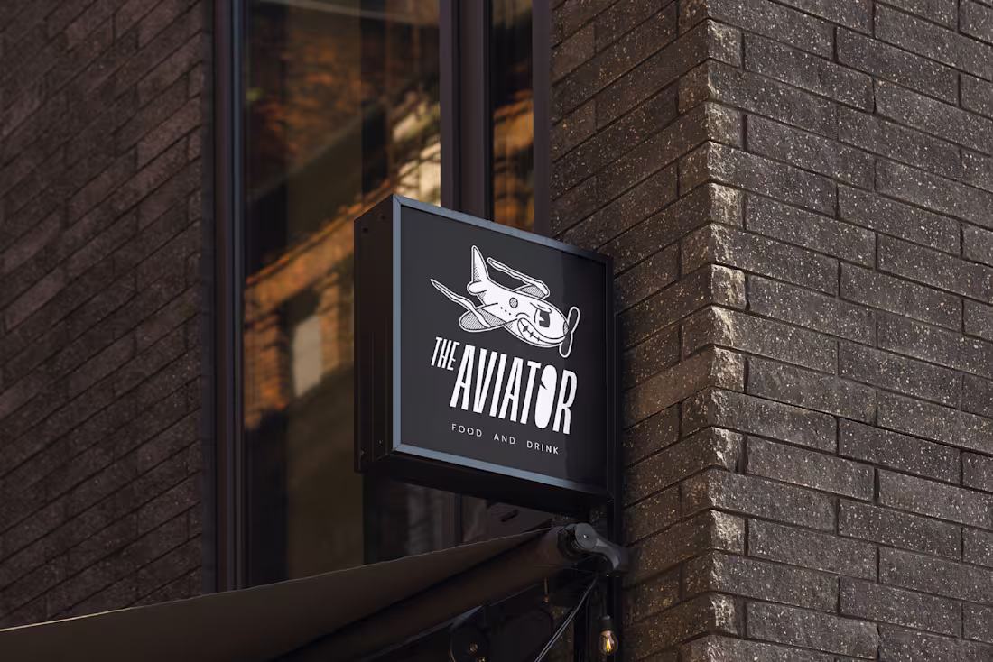 Cover image for The Aviator