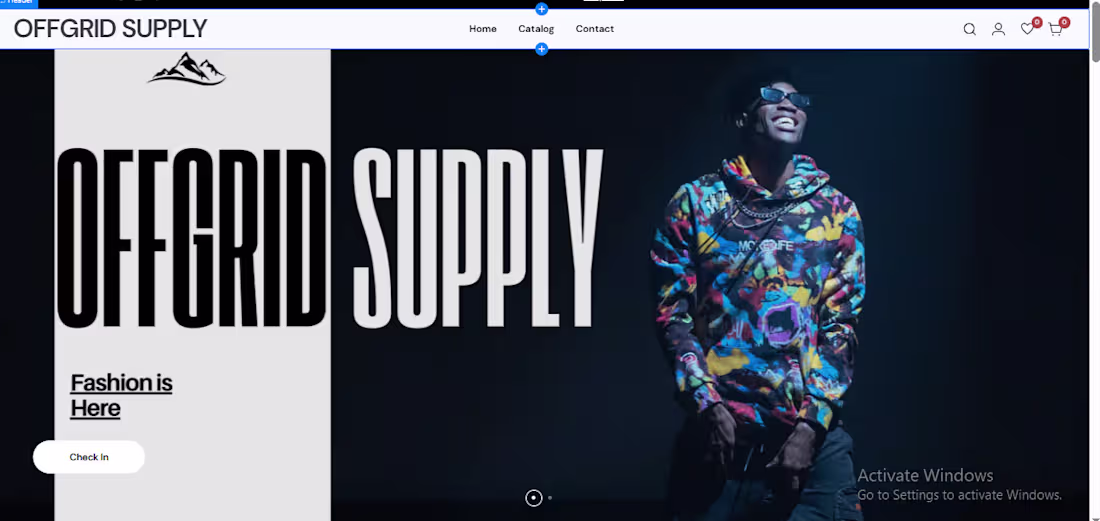 Cover image for shopify pro store designer, websites