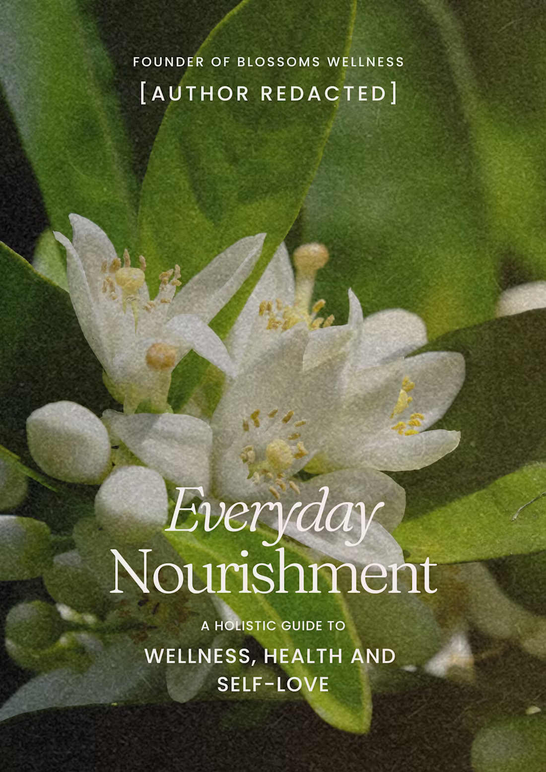 Cover image for Wellness Workbook: Ebook Design & KDP Formatting