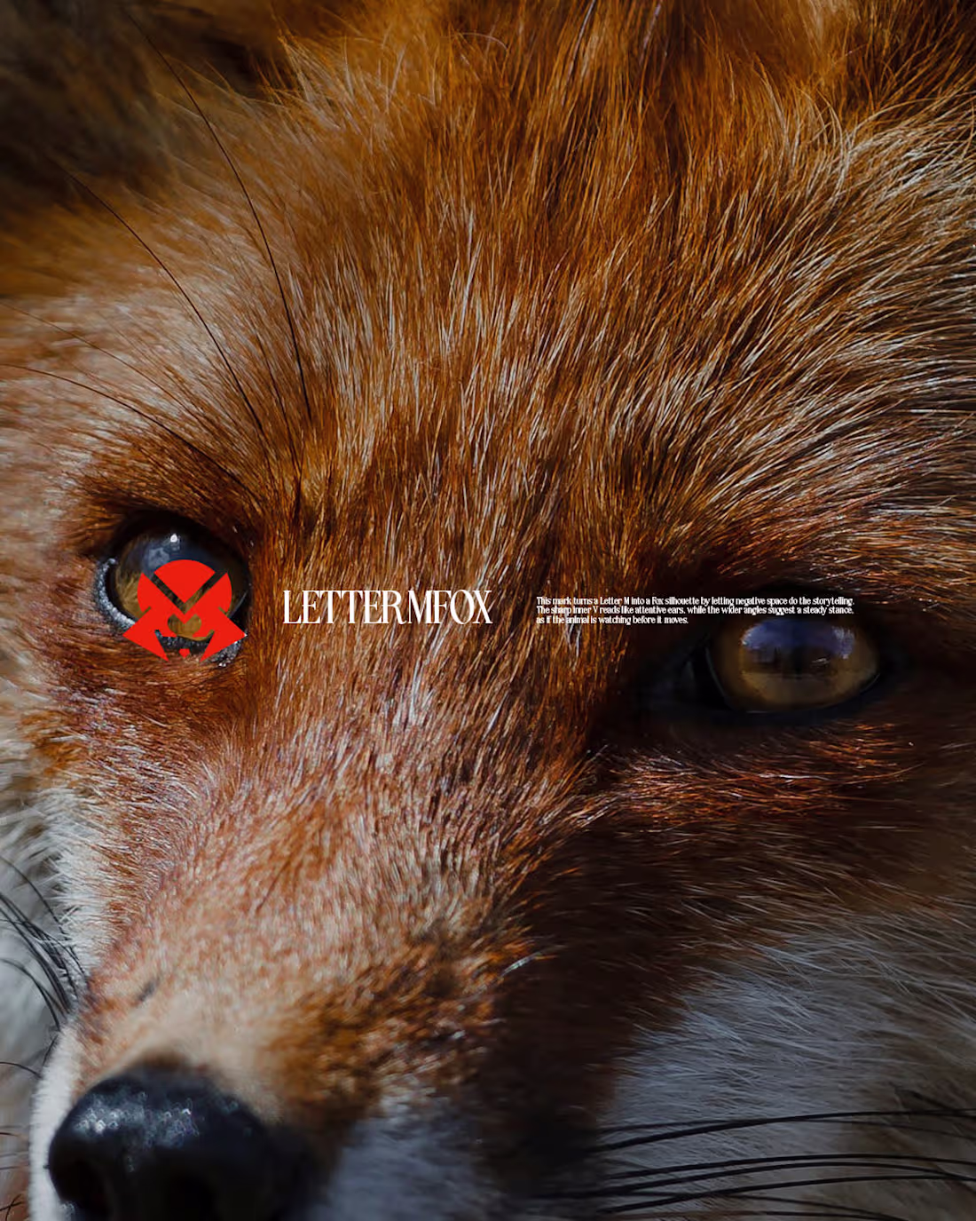 Cover image for Letter M Fox Logo Design
Available