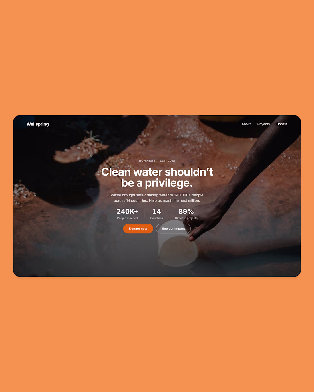 Cover image for NGO websites have the most