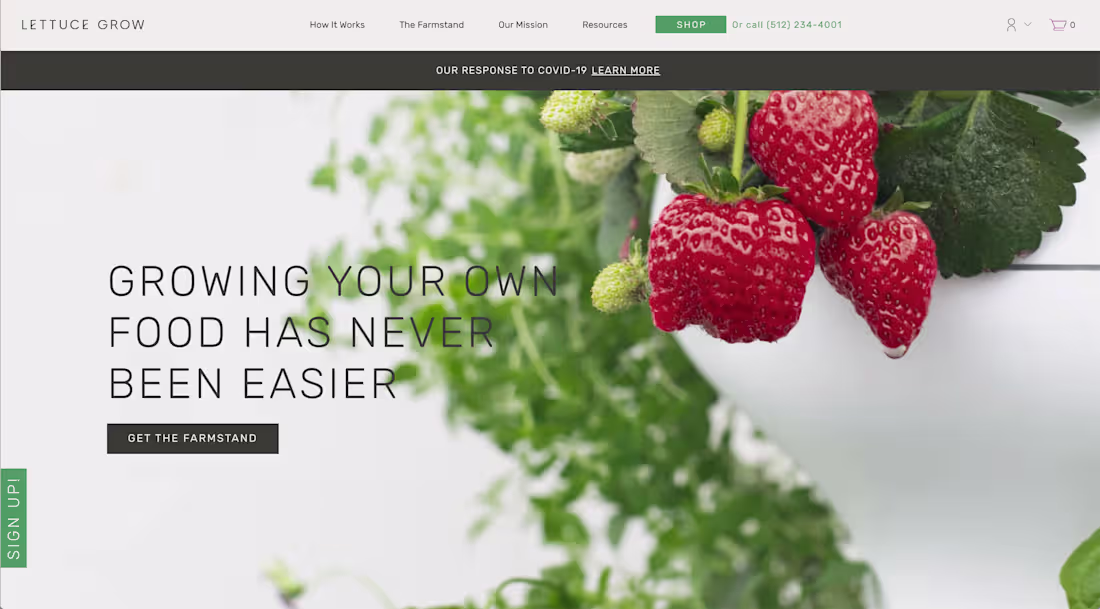 Cover image for Lettuce Grow Website