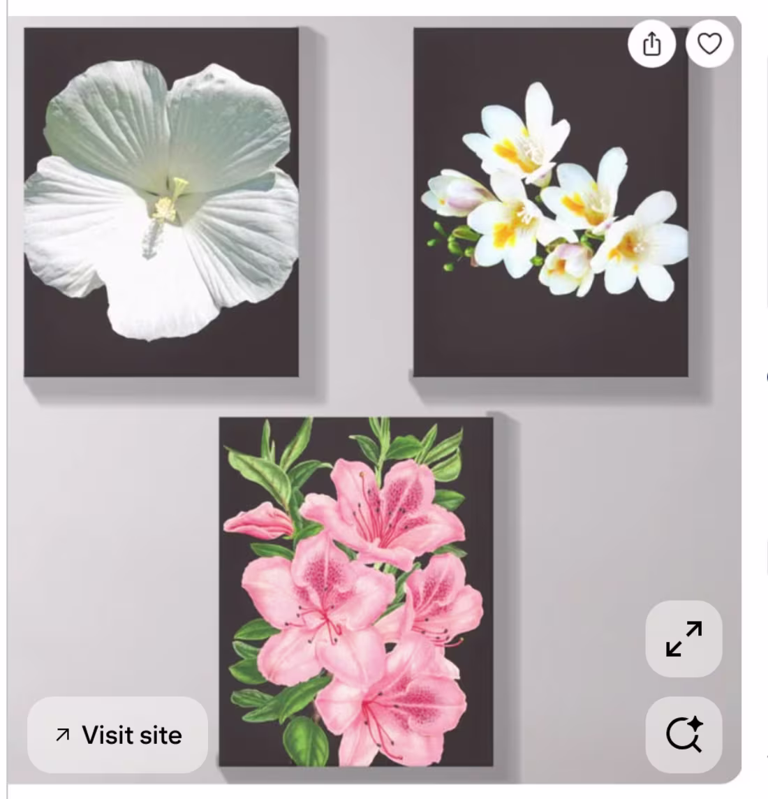 Cover image for "Captivating Botanical Floral Collection, showcasing