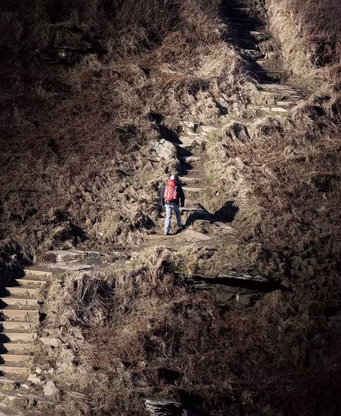 Cover image for A lone hiker ascending a