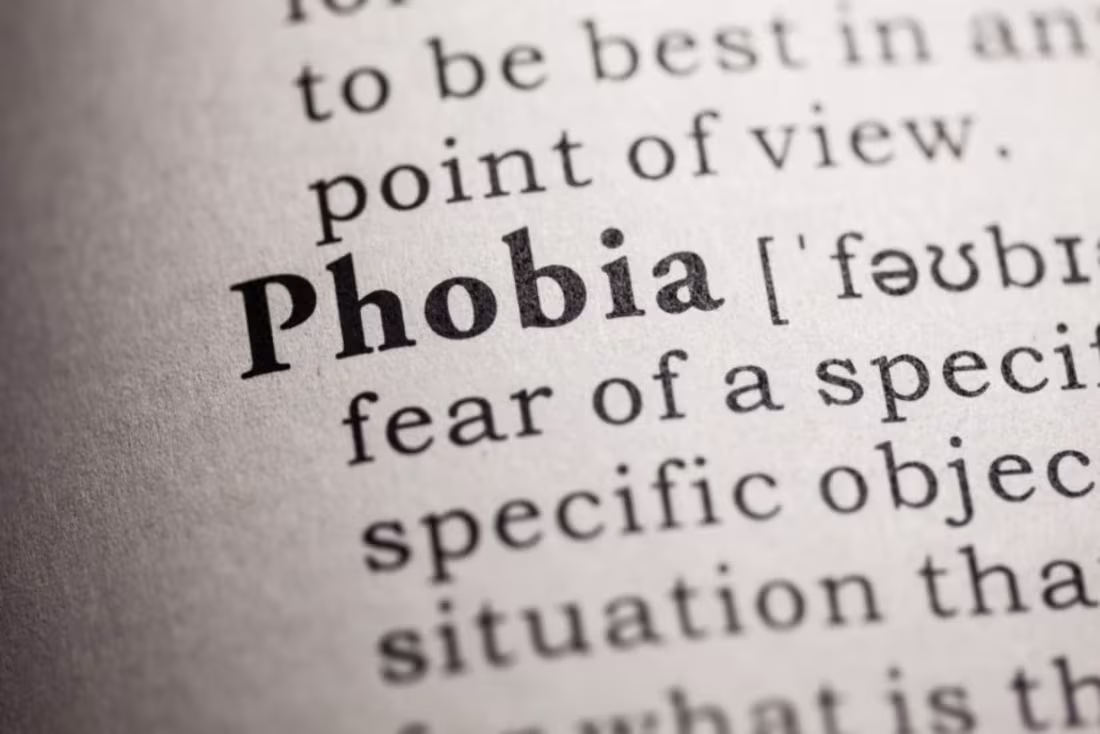 Cover image for Phobias: A Look into the World of Irrational Fear