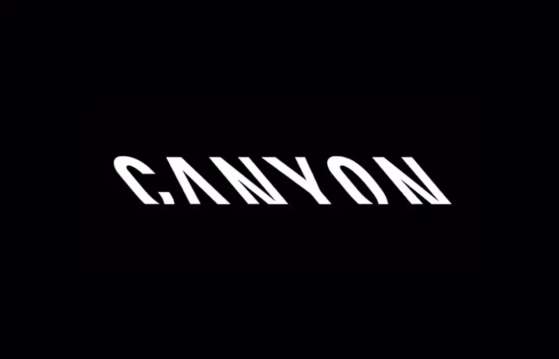 Cover image for Canyon Bicycles - UX Design projects