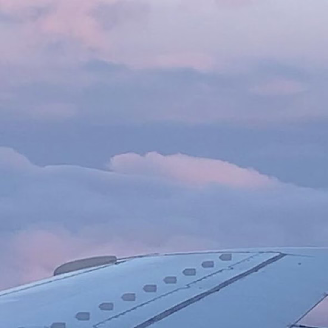 Cover image for 𝑺𝑶𝑭𝑰𝑨 on Instagram: “I wanna fly, can you take me far away…