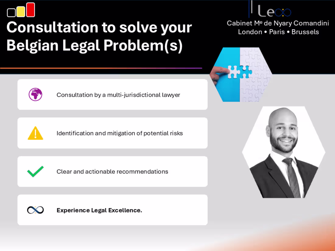 Cover image for Consultation with a Belgian Lawyer