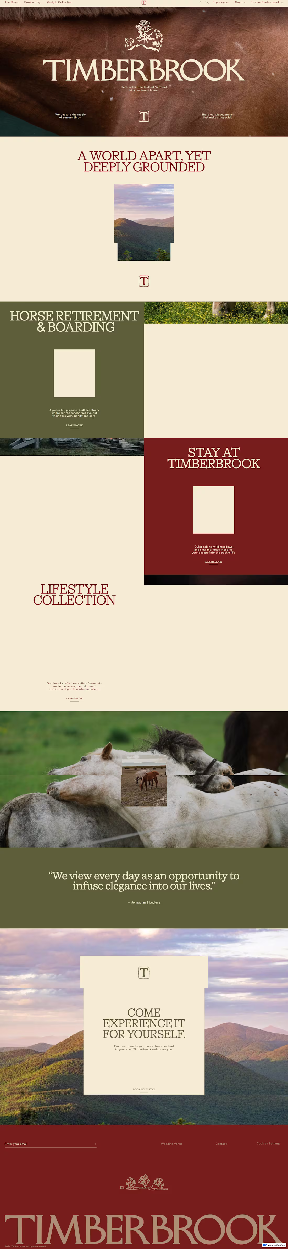 Cover image for We created a refined Webflow
