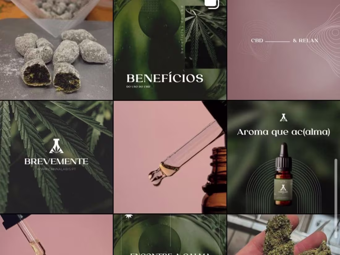 Cover image for Social Media Management - CBD Store