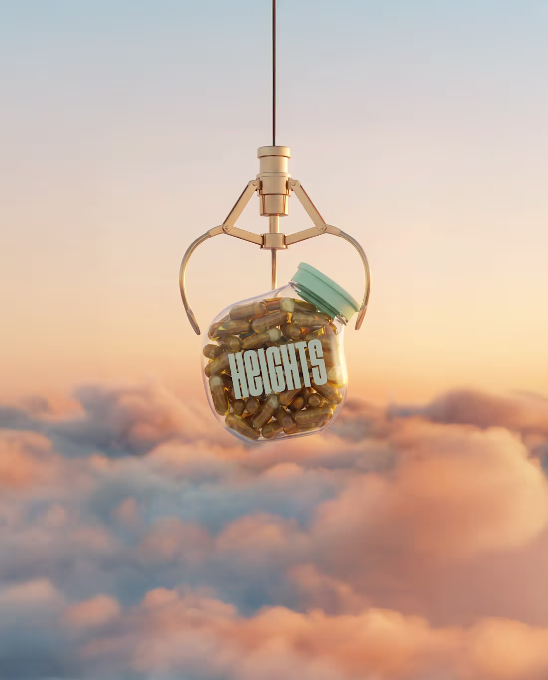 Cover image for Heights Social Marketing Campaign