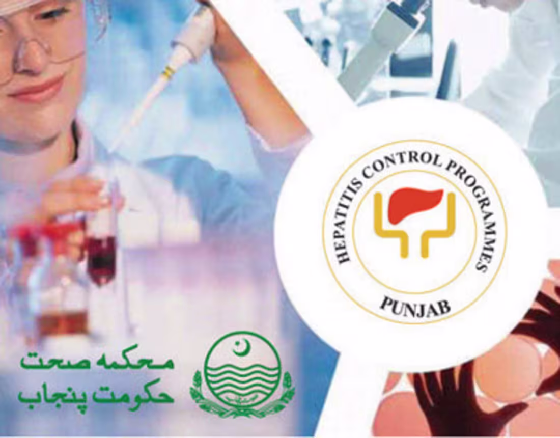 Cover image for Hepatitis