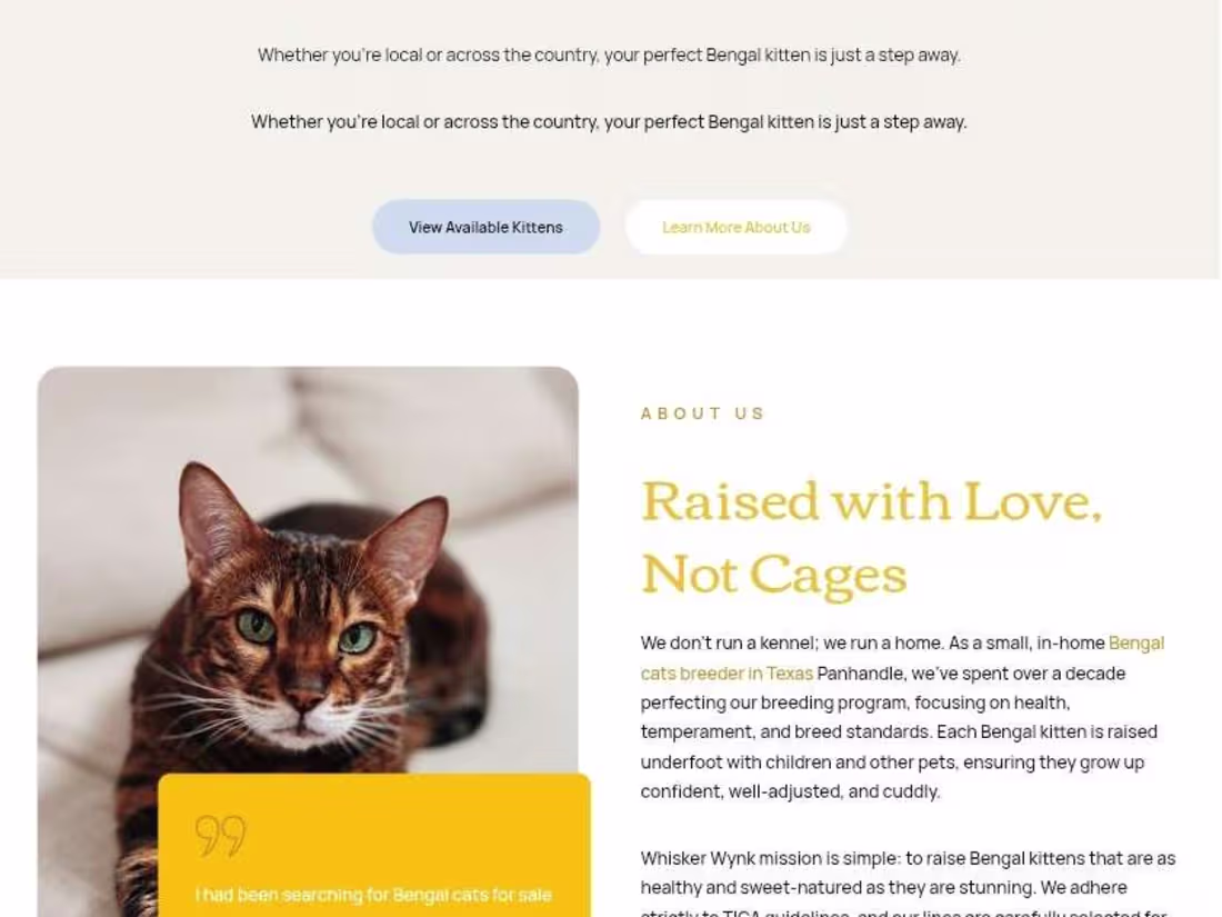 Cover image for Whisker Wynk | Bengal Cat Breeder | Bengal Cats for Sale