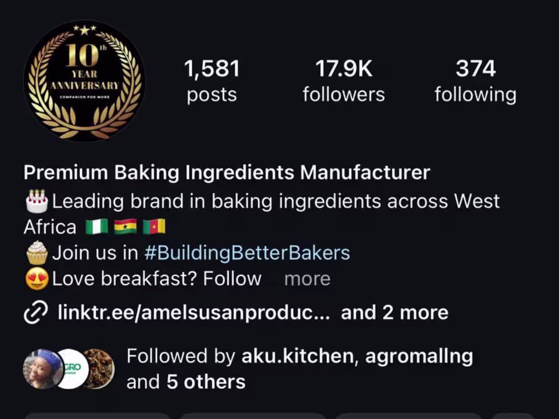 Cover image for Elevating Brand Awareness for Amel Susan Products