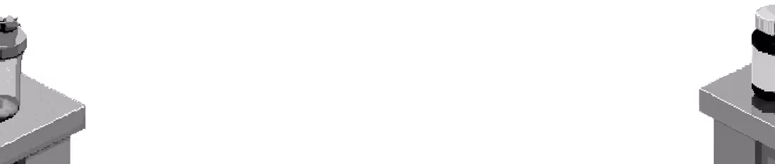 Cover image for L-Tyrosine Supplement Overview