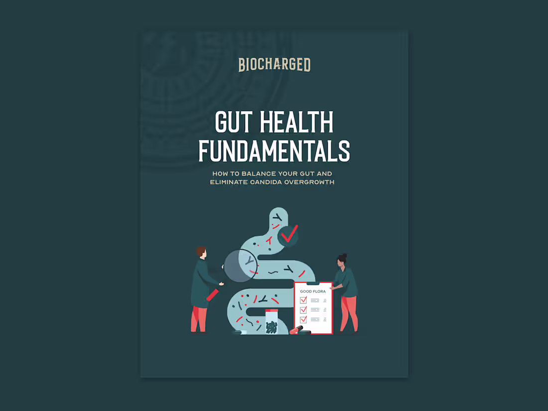 Cover image for Ebook - Biocharged