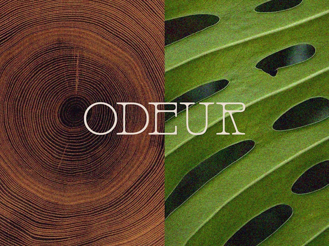 Cover image for ODEUR — Brand Identity, Packaging