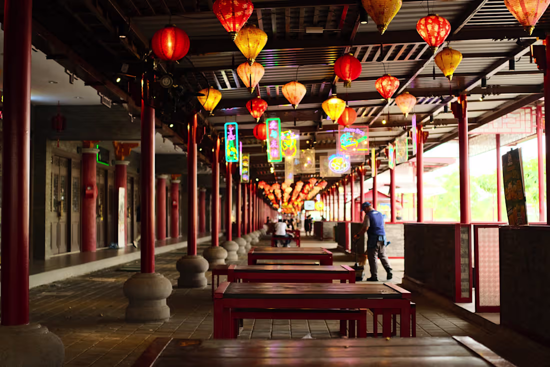 Cover image for Chinese Lunar Year in a