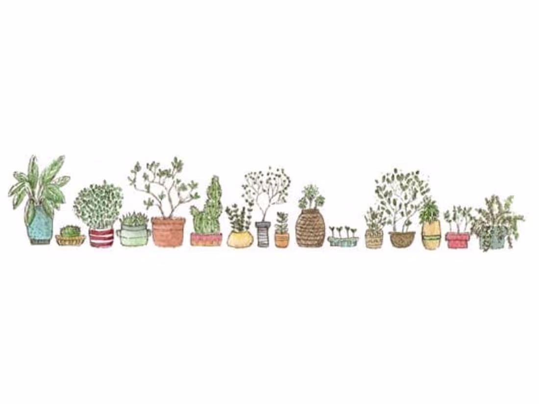Cover image for Article: Nature Clubs